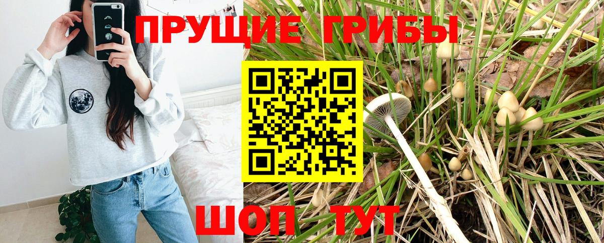 как найти закладки  Галлюциногенные грибы ЛСД  Вход с VPN  Медногорск 