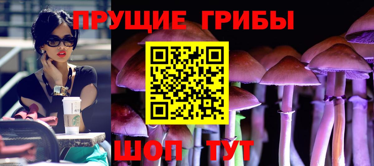 Галлюциногенные грибы Cubensis Медногорск